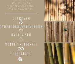 Snijplanken Hout - Bamboe - Set Duurzaam - Serveerplank - Snijplank - 38x28cm & 33x23,5cm - Keuken -Keukenbarbecue 1200x1025 1