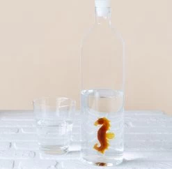 Balvi Waterfles - Zeepaard -Keukenbarbecue 1200x1178