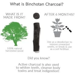 Black + Blum Binchotan Active Charcoal For Eau Good Water Bottles 4-pack -Keukenbarbecue 1200x1200 90