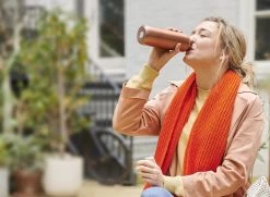 Mepal – Isoleerfles Ellipse 500 Ml – Houdt Je Drankje 12 Uur Warm En 24 Uur Koud – Rose Gold – Geschikt Voor Bruiswater – Thermosfles – Lekdicht -Keukenbarbecue 1200x881