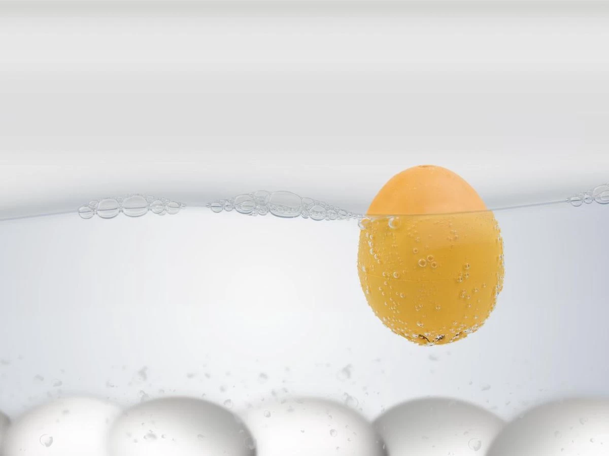 Brutus Kookt! Piepei Eierwekker - Timetravel 80´s 4 Brutus Kookt! Piepei Eierwekker - Timetravel 80´s - Afbeelding 2