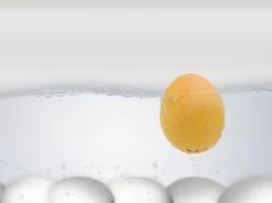 Brutus Kookt! Piepei Eierwekker - Timetravel 70´s 9 Brutus Kookt! Piepei Eierwekker - Timetravel 70´s -Keukenbarbecue 1200x900 92